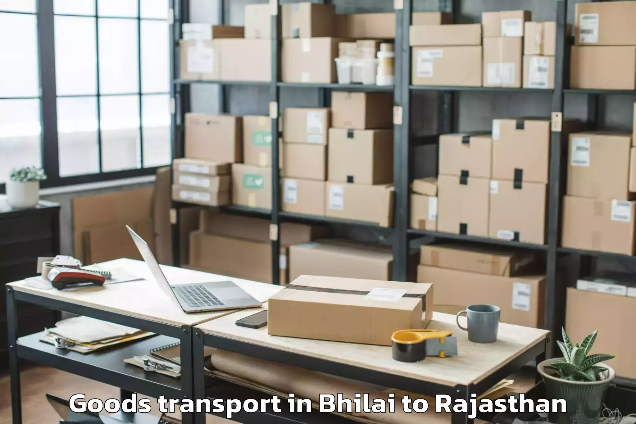 Easy Bhilai to Abhilashi University Udaipur Goods Transport Booking